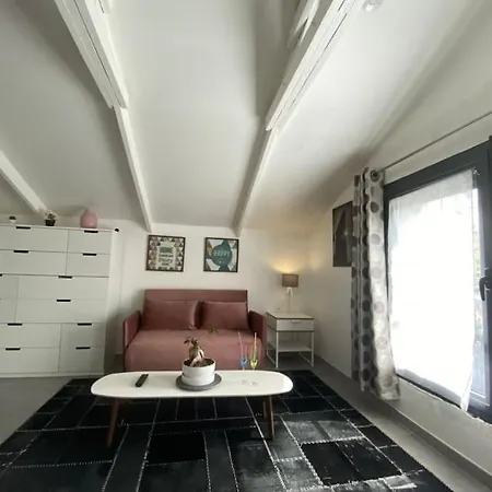 Apartment Trendy - Le Perchoir Tassin-la-Demi-Lune